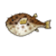 :blowfish: