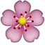 cherry_blossom.png