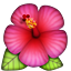 تقرير عن: 《☆أبطال التايتنز انطلقوا!☆》 Hibiscus